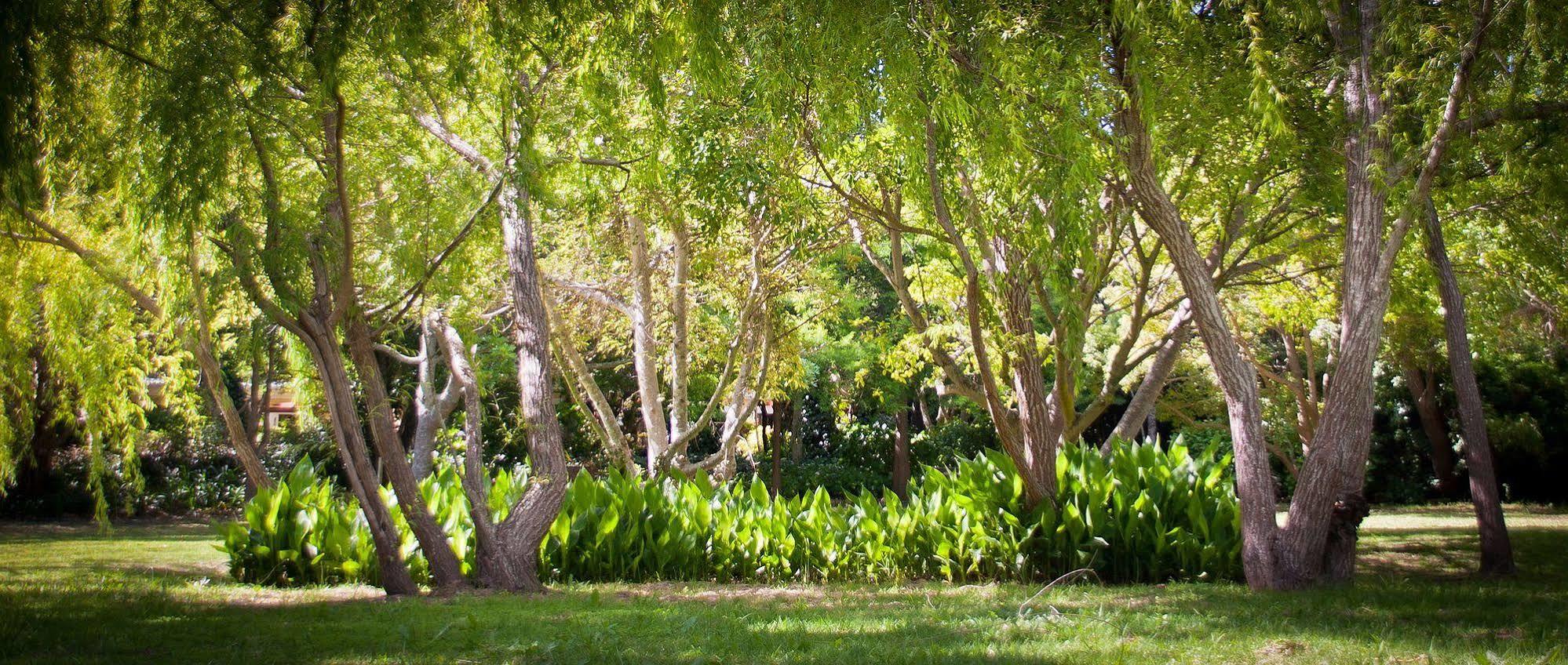 Willowbrook Country House Cape Town Luaran gambar